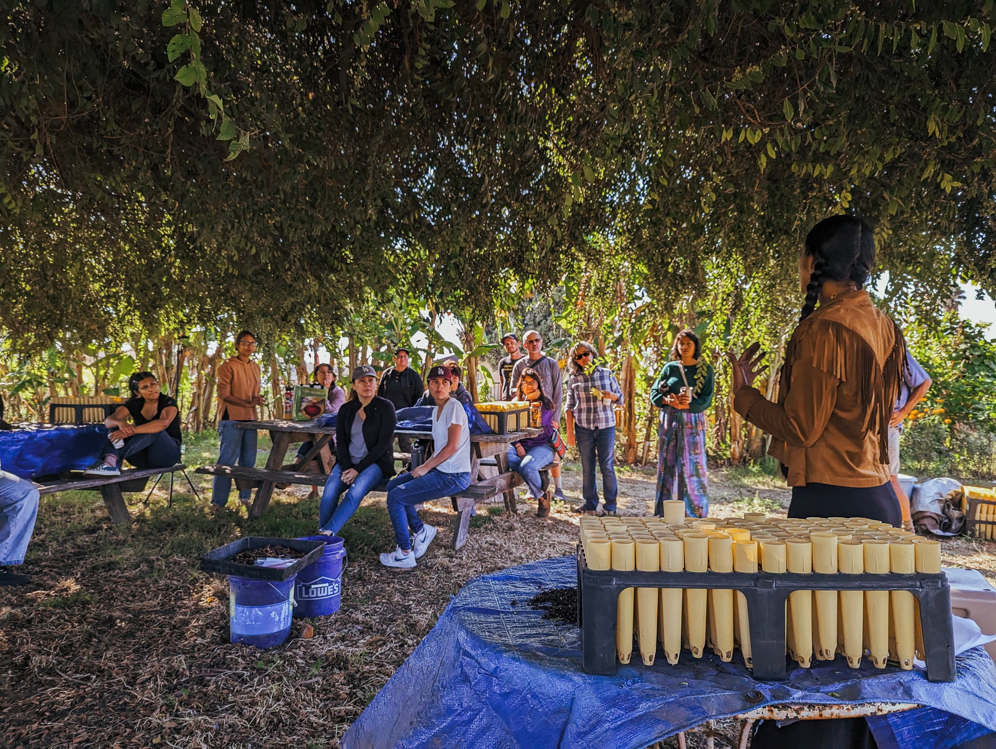 Connecting generations to heal the planet