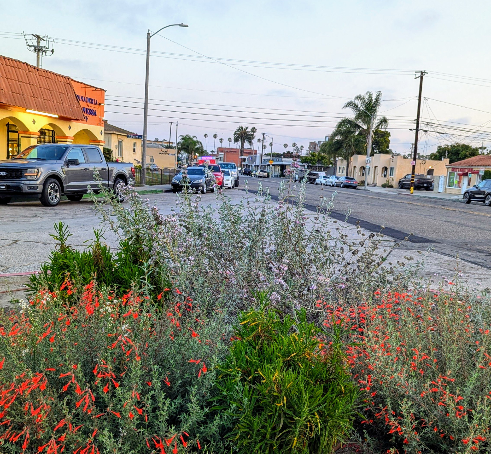 Picture wall left top