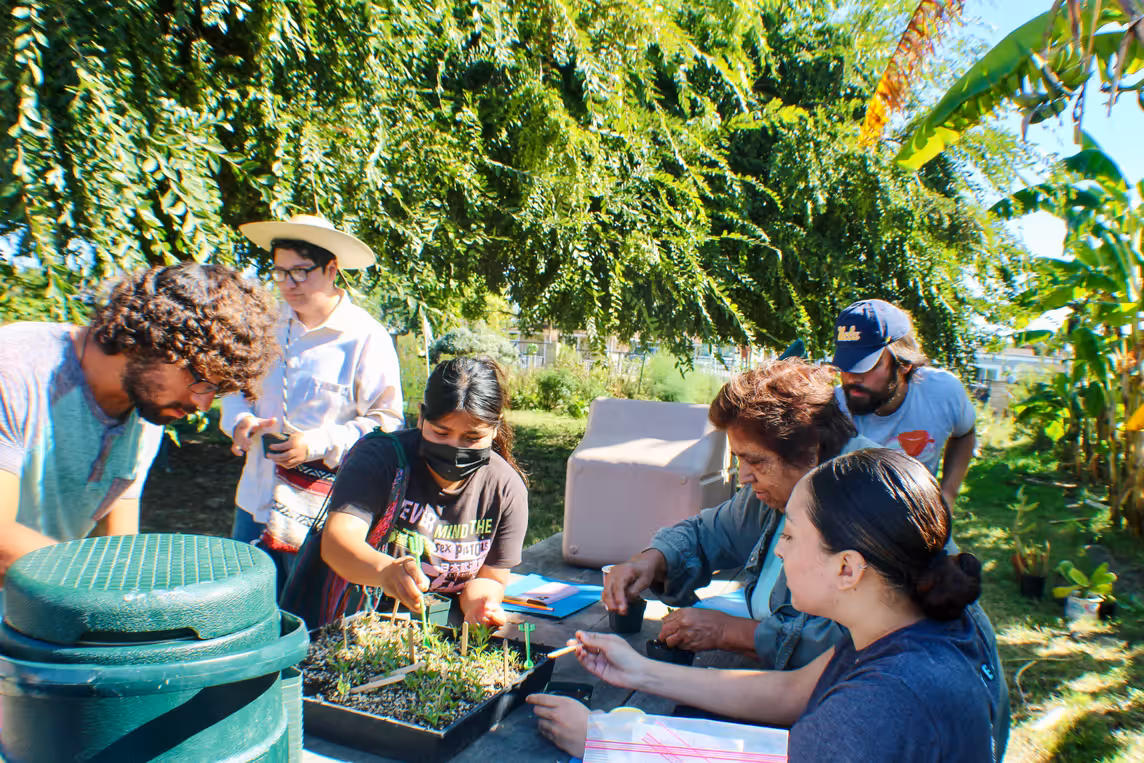 A group of community members gather around a table outdoors, working together to plant seedlings in trays under the shade of large trees during a native plant workshop.
